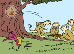 The Bird And The Monkey - Panchatantra Story Picture