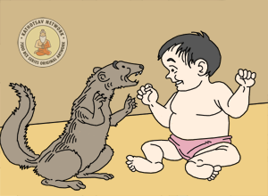 The Brahmani And The Mongoose - Panchatantra Story Picture