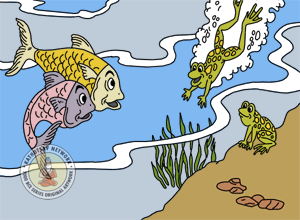 The Tale Of Two Fishes And A Frog - Panchatantra Story Picture